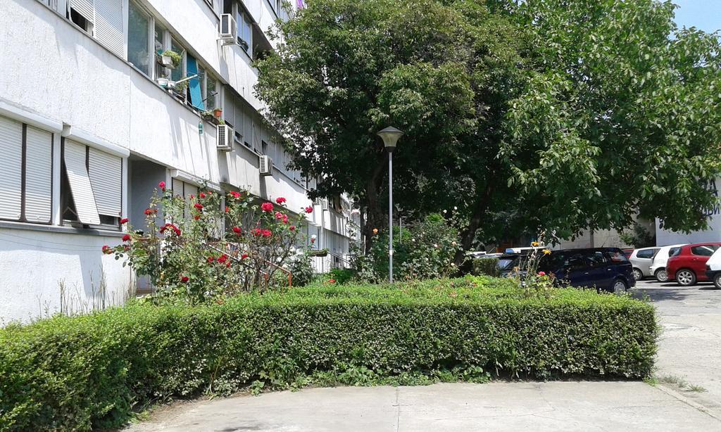 Apartment Daca Stan Belgrade Exterior photo
